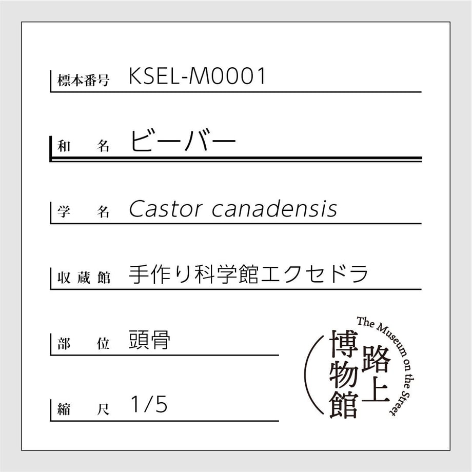 625fcc896b87c36ea05189bc