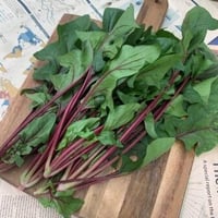 サラダほうれんそう（赤軸ほうれん草）