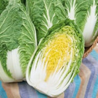 冬野菜　お任せ￥2,000セット（＊画像はイメージです。）