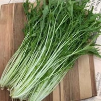 水菜