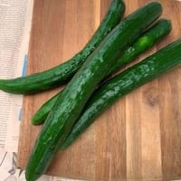 きゅうり