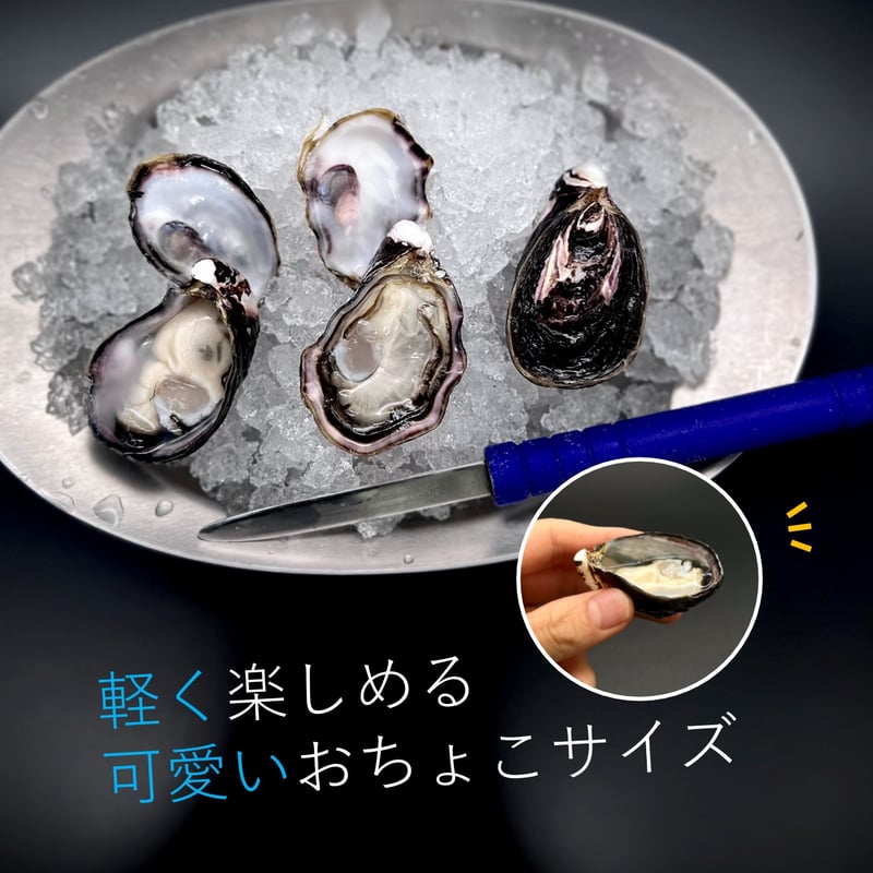 和田島 岬オイスター】 20~40gサイズ | 牡蠣小屋うみの【公式】｜食べ