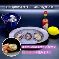 【和田島 岬オイスター】　40~60gサイズ
