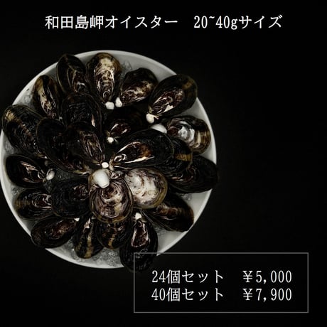 【和田島 岬オイスター】 20~40gサイズ