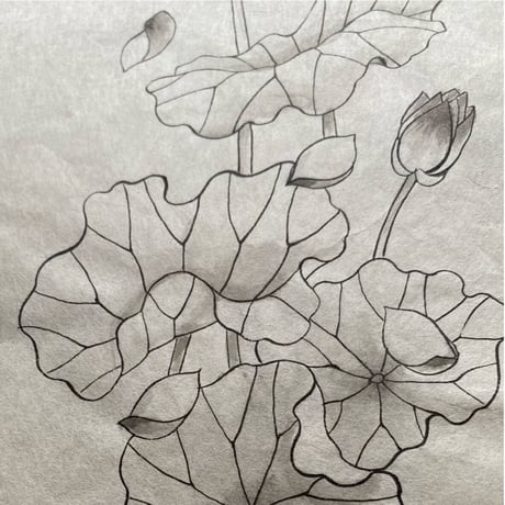 『蓮華』