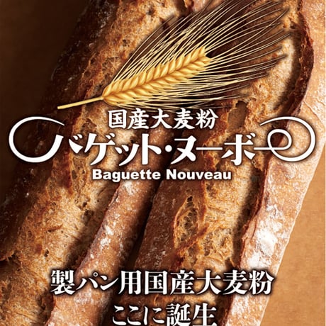 国産大麦粉『バゲット・ヌーボー 63』250ｇ（250ｇ小袋のみ🔶1～2個まで🔶のご注文はレターパックにて簡易配送）