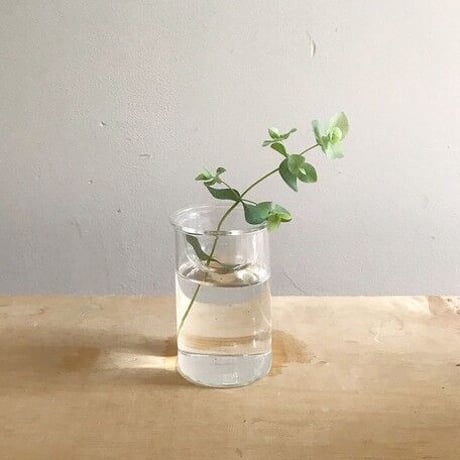 MINI BULB VASE 水栽培ガラスベース クリア［8.5cm:φ60 h85］