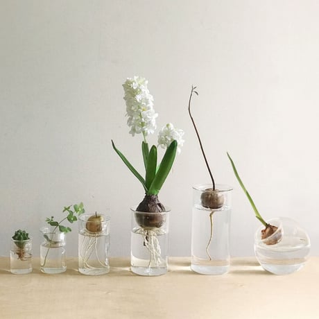 MINI BULB VASE 水栽培ガラスベース クリア［7cm:φ45 h70］