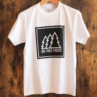 カジュアル box tree　Tシャツ　ホワイト
