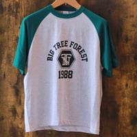 ビンテージ　Tシャツ　グリーン
