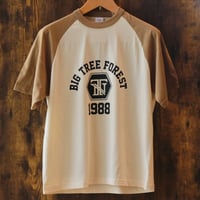 ビンテージ　Tシャツ　キャメル