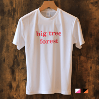 Standard shirt