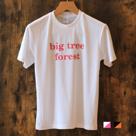 Standard shirt