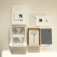 A_postcard_BOX &「レースフラワー」ジクレー
