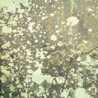 大森信和『SKY WAS BLUE』 | MMRecords☆SHOP
