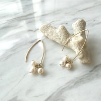 acoyapearlpierce★