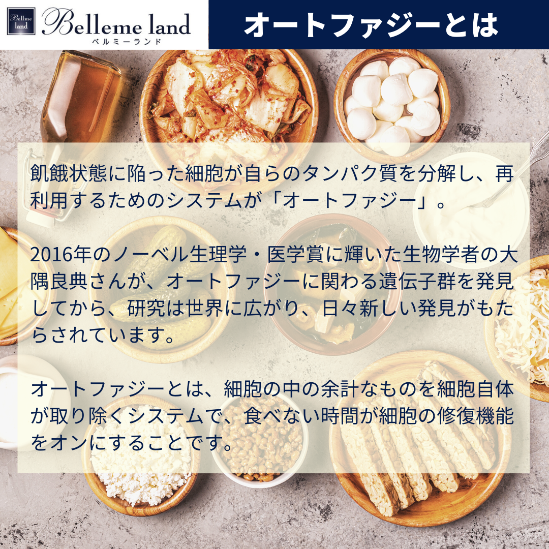 ベルスフリール エンザイム 酵素ドリンク 2つまとめ買い 【公式 ベルスフリール エンザイム 酵素ドリンク 2つまとめ買い 【公式