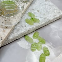 Clear stone -mint-