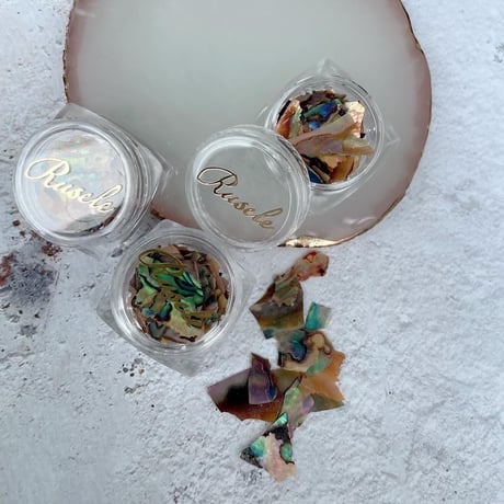Abalone shell -brown-