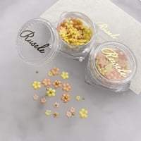 Flower parts -himawari-