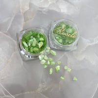Petite Shell -Melon-