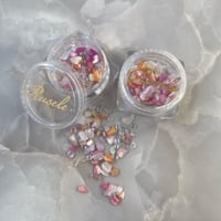 Petal shell   -rose-