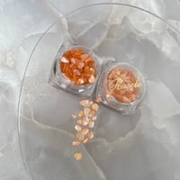 Petite Shell -Orange-