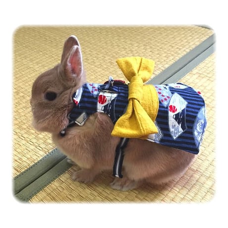 浴衣ハーネス（富士）　フリーサイズ