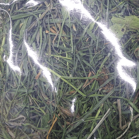 ミックス牧草