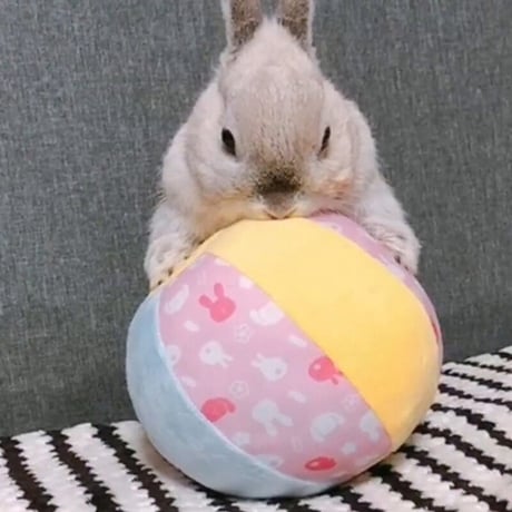 ウサギのおもちゃ　おっきなやわらかボール