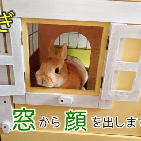 壱番館　北欧デザインペットハウス （展示品）※店頭のみの販売