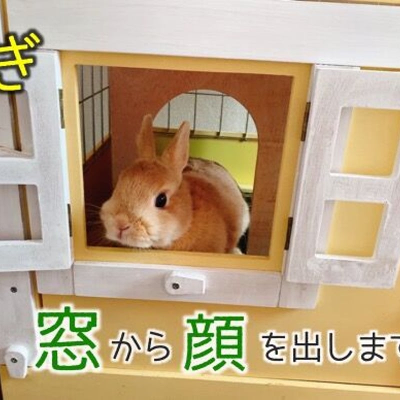 壱番館 北欧デザインペットハウス （展示品）※店頭のみの販売 | ネット