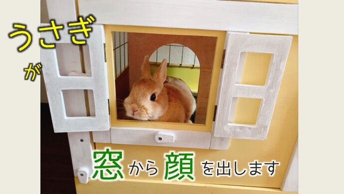 壱番館 北欧デザインペットハウス （展示品）※店頭のみの販売 | ネット