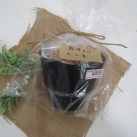 えん麦　栽培セット