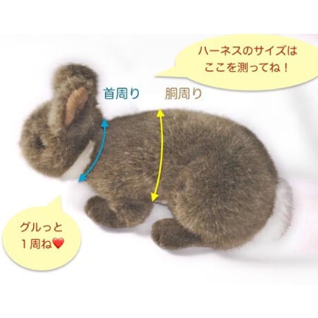 くにたちハーネス（モーモーソフト）　Mサイズ