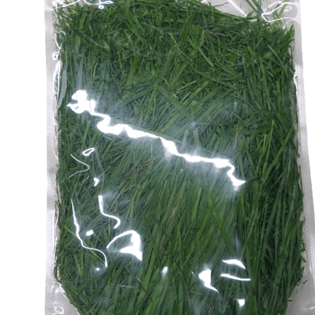 イタリアンライグラス 100g