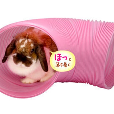 ジャバラトンネル　２０