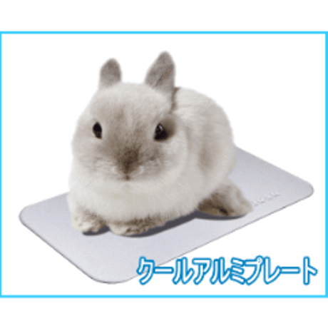 うさちゃんのクールひんやりアルミプレート