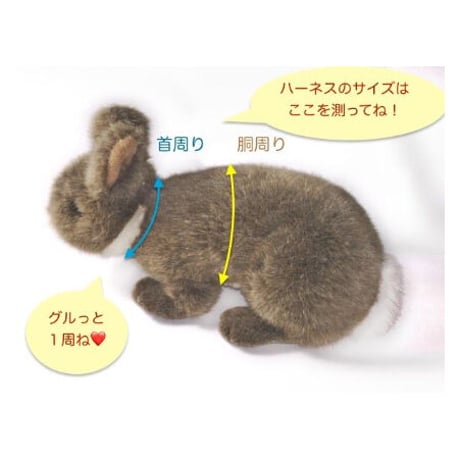 こだいらハーネス（マリンネイビー）　Lサイズ