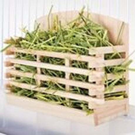 CASA　かじり木牧草ワイドフィーダー