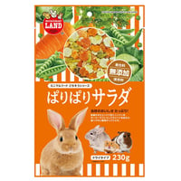 ぱりぱりサラダ