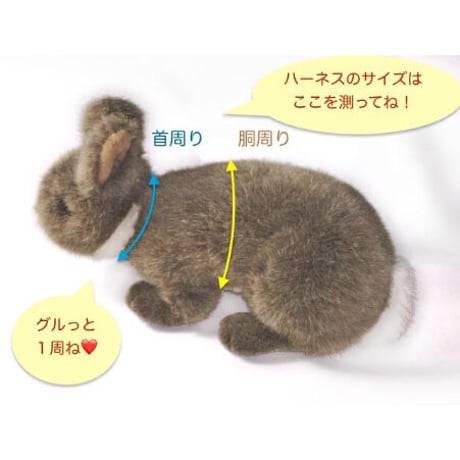 くにたちハーネス（モーモーソフト）　Sサイズ