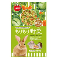もりもり野菜