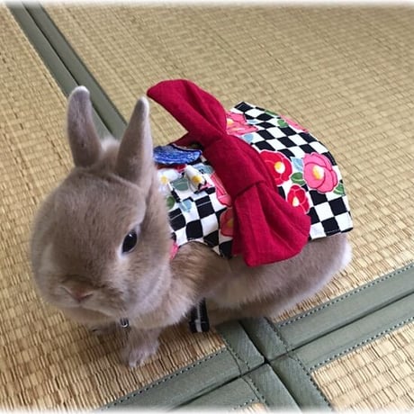 浴衣ハーネス（椿）　フリーサイズ