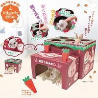 ウサハコ　にんじん畑