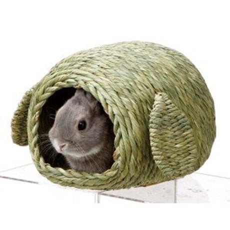 チモシーのおうち　小