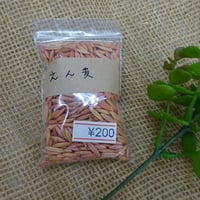 えん麦　種