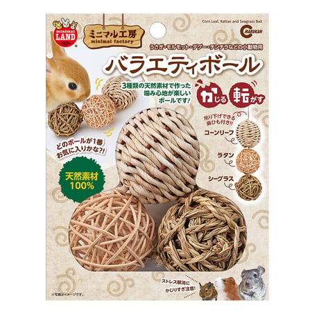 バラエティボール