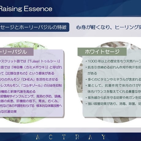 【美容液】レイジング エッセンス