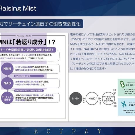 【化粧水】レイジング ミスト ／Raising Mist